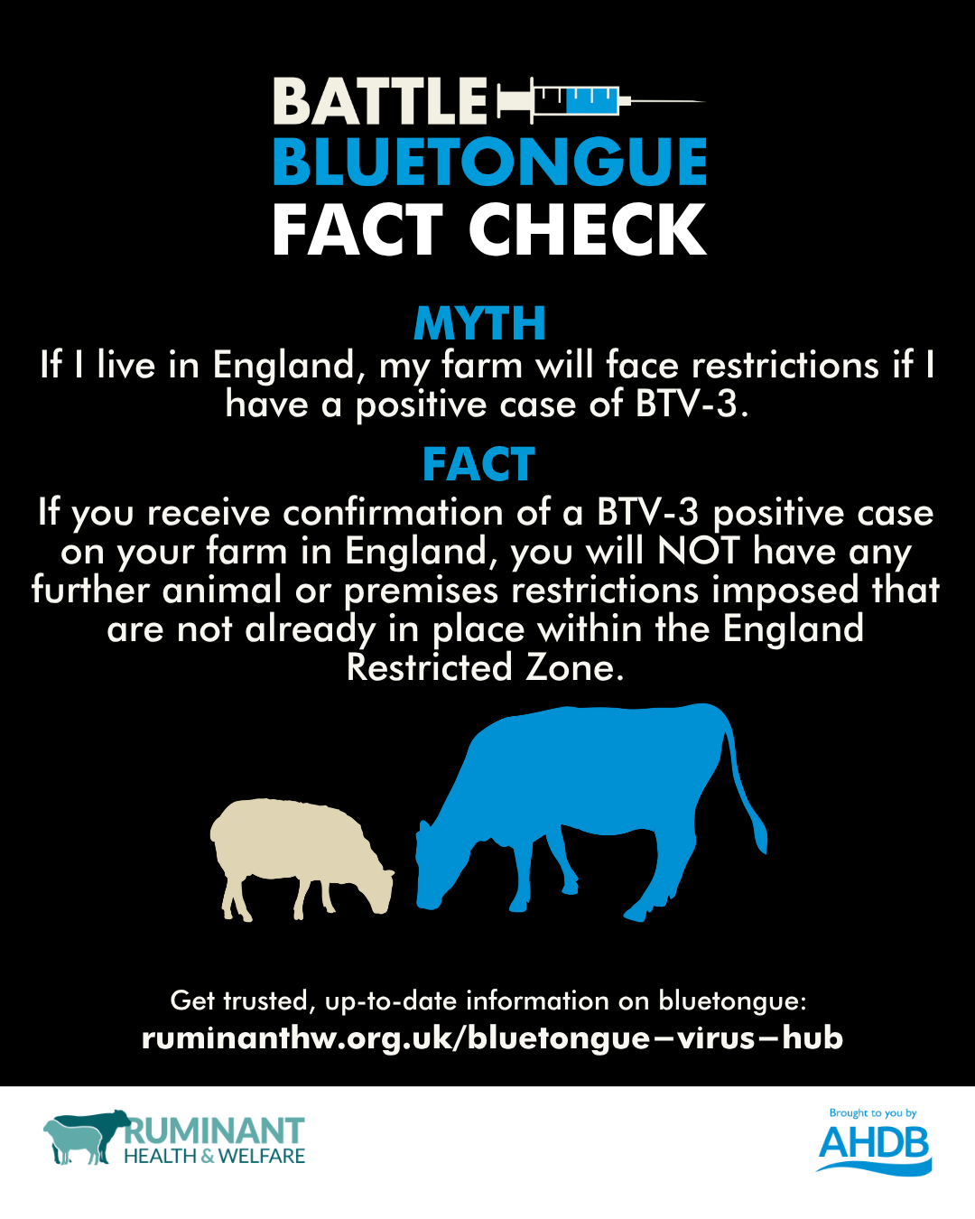 Battle Bluetongue fact check infographic.